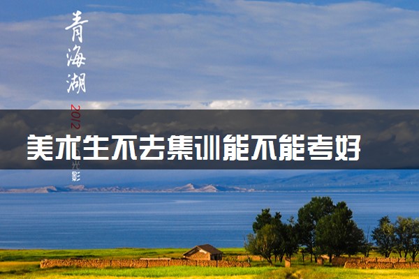 美术生不去集训能不能考好 为什么要参加集训