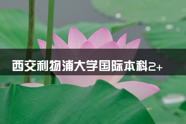 西交利物浦大学国际本科2+2怎么样 靠谱吗