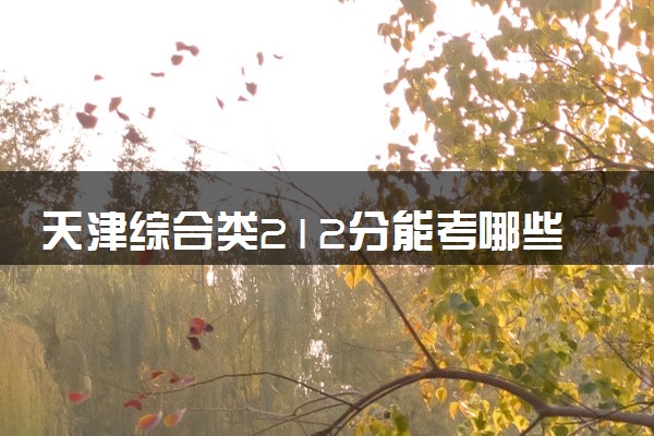 天津综合类212分能考哪些大学 2025考生稳上的大学名单