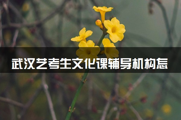 武汉艺考生文化课辅导机构怎么选