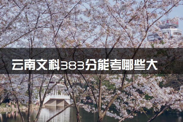 云南文科383分能考哪些大学 2025考生稳上的大学名单