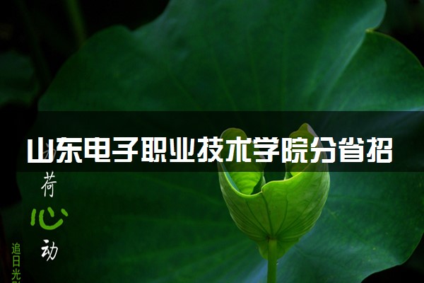 山东电子职业技术学院分省招生人数及招生专业2025年招生计划参考