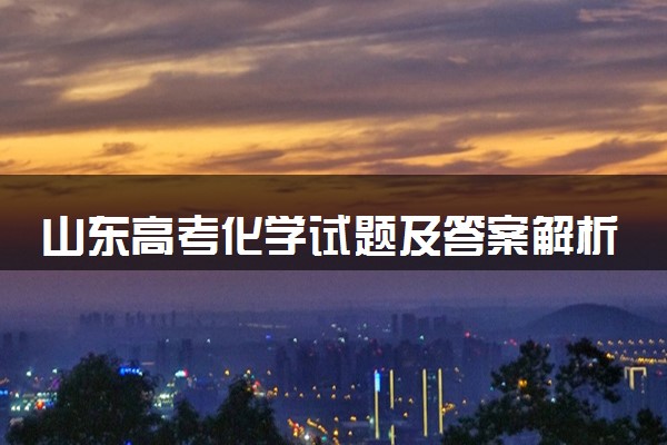 山东高考化学试题及答案解析（2025考后更新）