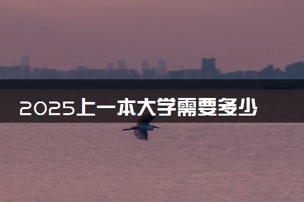 2025上一本大学需要多少分 收分低的院校推荐