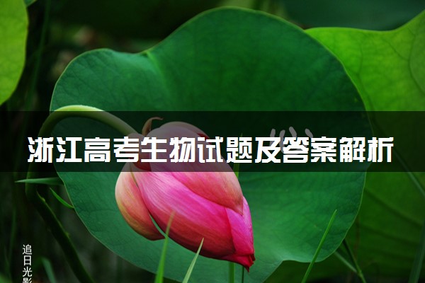 浙江高考生物试题及答案解析（2025考后更新）