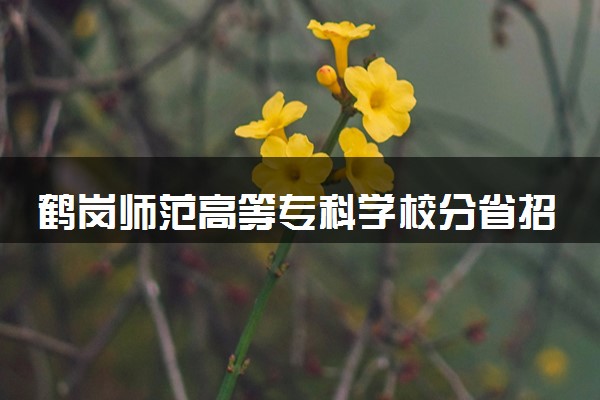 鹤岗师范高等专科学校分省招生人数及招生专业2025年招生计划参考