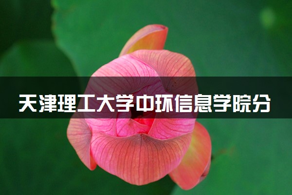 天津理工大学中环信息学院分省招生人数及招生专业2025年招生计划参考