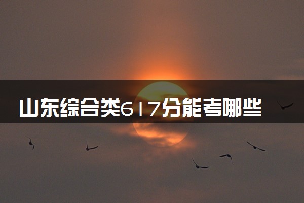 山东综合类617分能考哪些大学 2025考生稳上的大学名单