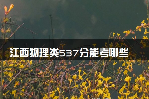 江西物理类537分能考哪些大学 2025考生稳上的大学名单