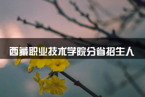 西藏职业技术学院分省招生人数及招生专业2025年招生计划参考