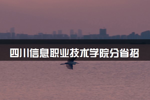 四川信息职业技术学院分省招生人数及招生专业2025年招生计划参考