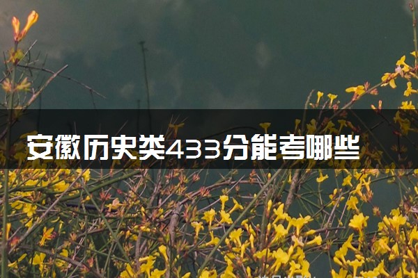 安徽历史类433分能考哪些大学 2025考生稳上的大学名单