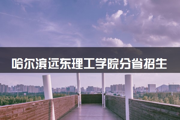 哈尔滨远东理工学院分省招生人数及招生专业2025年招生计划参考