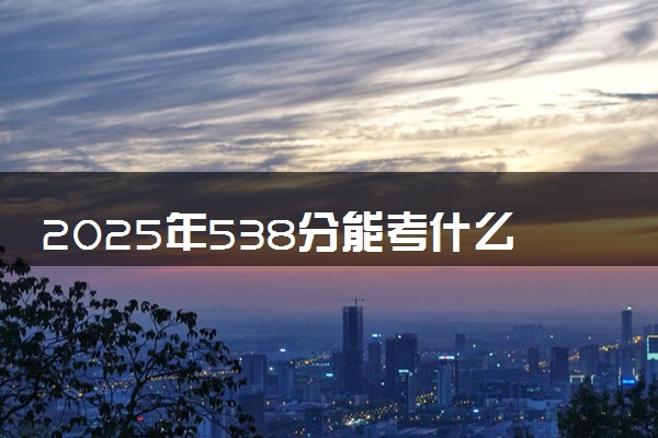 2025年538分能考什么医药类大学 哪些大学值得报