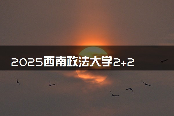 2025西南政法大学2+2国际本科项目对接的国外院校（招生简章）