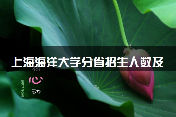 上海海洋大学分省招生人数及招生专业2025年招生计划参考