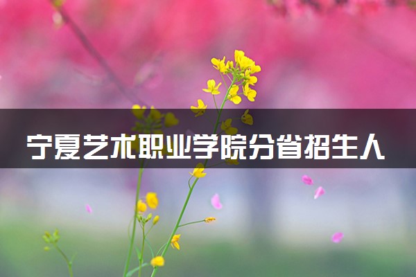 宁夏艺术职业学院分省招生人数及招生专业2025年招生计划参考