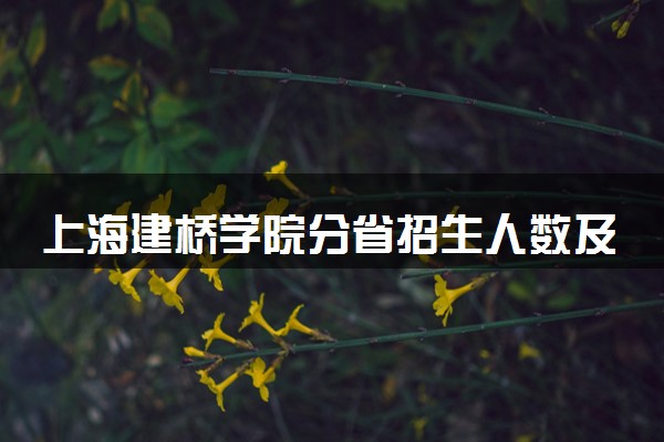 上海建桥学院分省招生人数及招生专业2025年招生计划参考