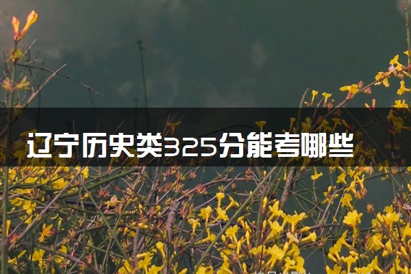 辽宁历史类325分能考哪些大学 2025考生稳上的大学名单