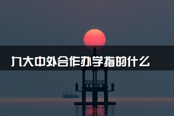 九大中外合作办学指的什么 录取分数是多少
