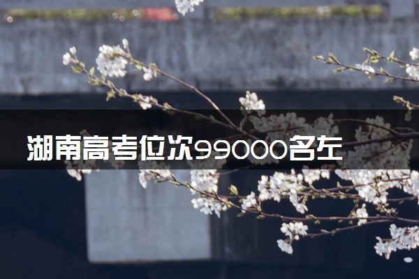 湖南高考位次99000名左右报什么大学好（2025年参考）