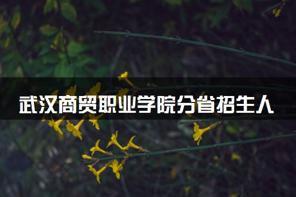武汉商贸职业学院分省招生人数及招生专业2025年招生计划参考