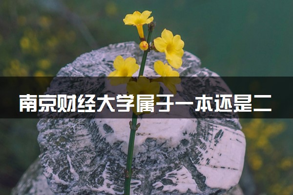 南京财经大学属于一本还是二本？本科一批、二批的区别及报考建议