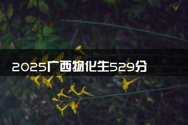 2025广西物化生529分左右能上什么大学 可以报考的院校名单