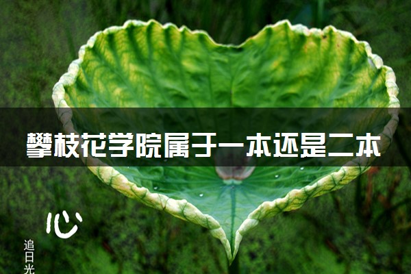 攀枝花学院属于一本还是二本？2025年报考建议及分数线预测