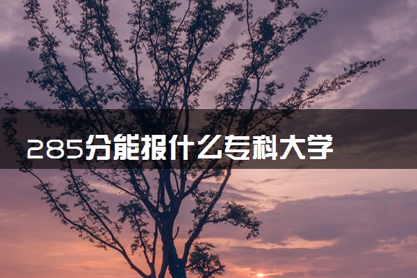 285分能报什么专科大学 2025推荐院校