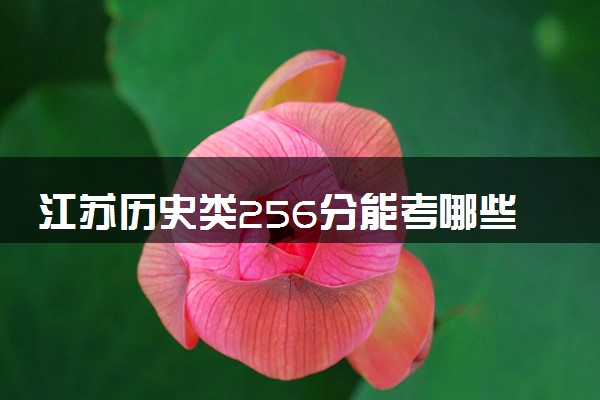 江苏历史类256分能考哪些大学 2025考生稳上的大学名单