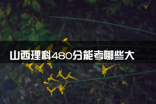 山西理科480分能考哪些大学 2025考生稳上的大学名单