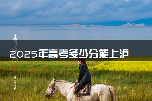 2025年高考多少分能上泸州职业技术学院？预测各省份录取分数线（附2024年数据及报考指南）