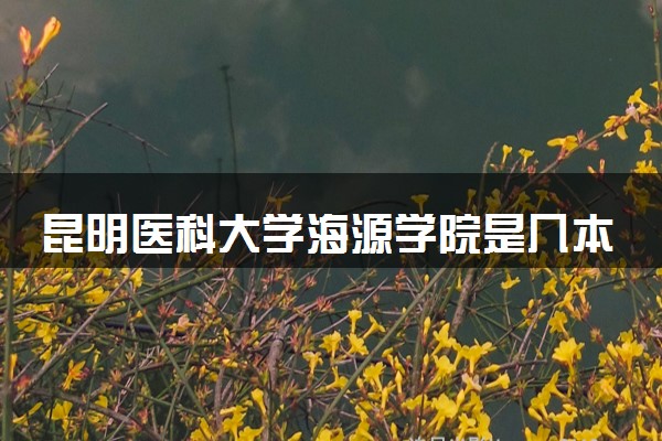 昆明医科大学海源学院是几本？2025年高考多少分能上及报考建议