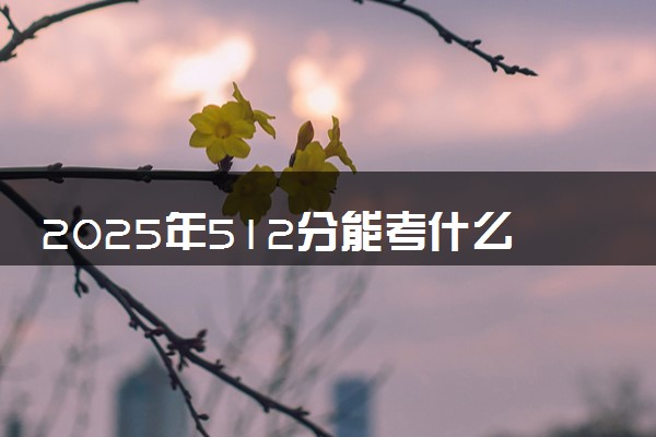 2025年512分能考什么综合类大学 哪些大学值得报