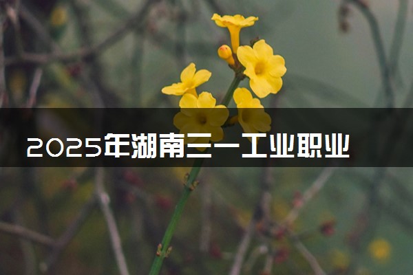 2025年湖南三一工业职业技术学院要考多少分才能上？历年录取分数线及报考指南（含预测）