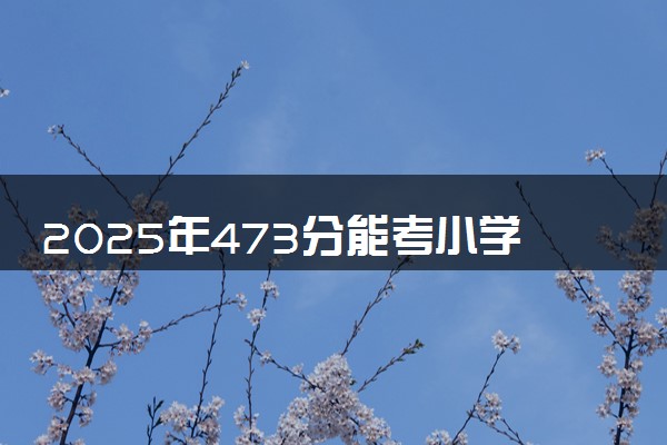 2025年473分能考小学教育专业吗 473分小学教育专业大学推荐