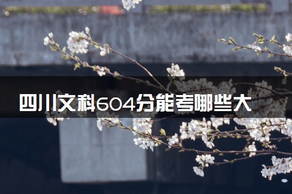 四川文科604分能考哪些大学 2025考生稳上的大学名单