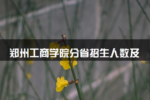 郑州工商学院分省招生人数及招生专业2025年招生计划参考