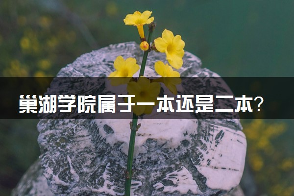 巢湖学院属于一本还是二本？2025年报考建议及分数线预测
