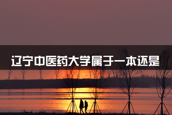 辽宁中医药大学属于一本还是二本？本科一批、二批的区别及报考建议