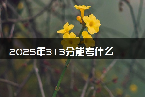 2025年313分能考什么语言类大学 哪些大学值得报