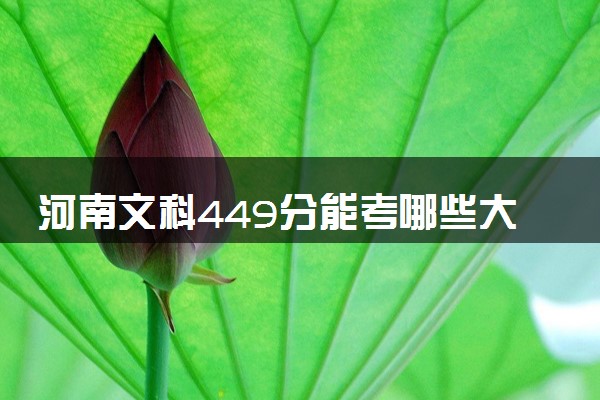 河南文科449分能考哪些大学 2025考生稳上的大学名单