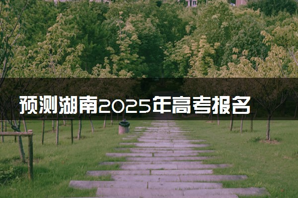 预测湖南2025年高考报名人数 附近三年人数统计及分数线