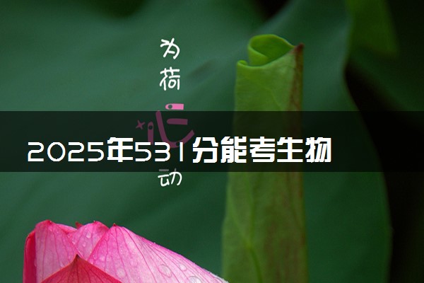 2025年531分能考生物制药专业吗 531分生物制药专业大学推荐