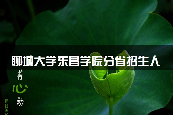 聊城大学东昌学院分省招生人数及招生专业2025年招生计划参考
