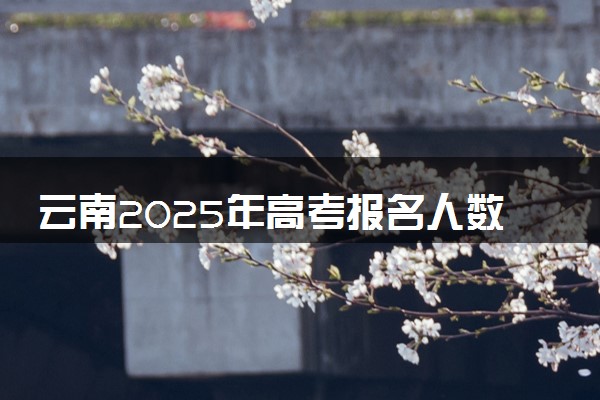 云南2025年高考报名人数公布 附近三年人数统计及分数线