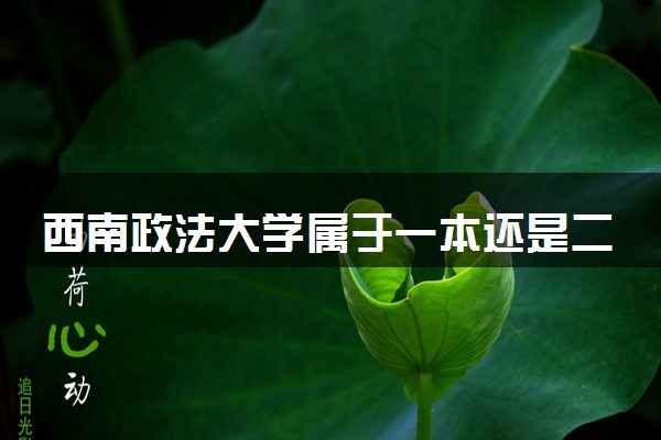 西南政法大学属于一本还是二本？本科一批、二批的区别及报考建议
