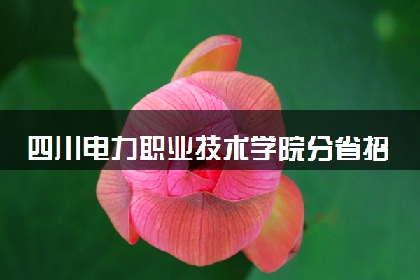 四川电力职业技术学院分省招生人数及招生专业2025年招生计划参考