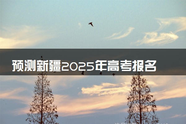 预测新疆2025年高考报名人数 附近三年人数统计及分数线